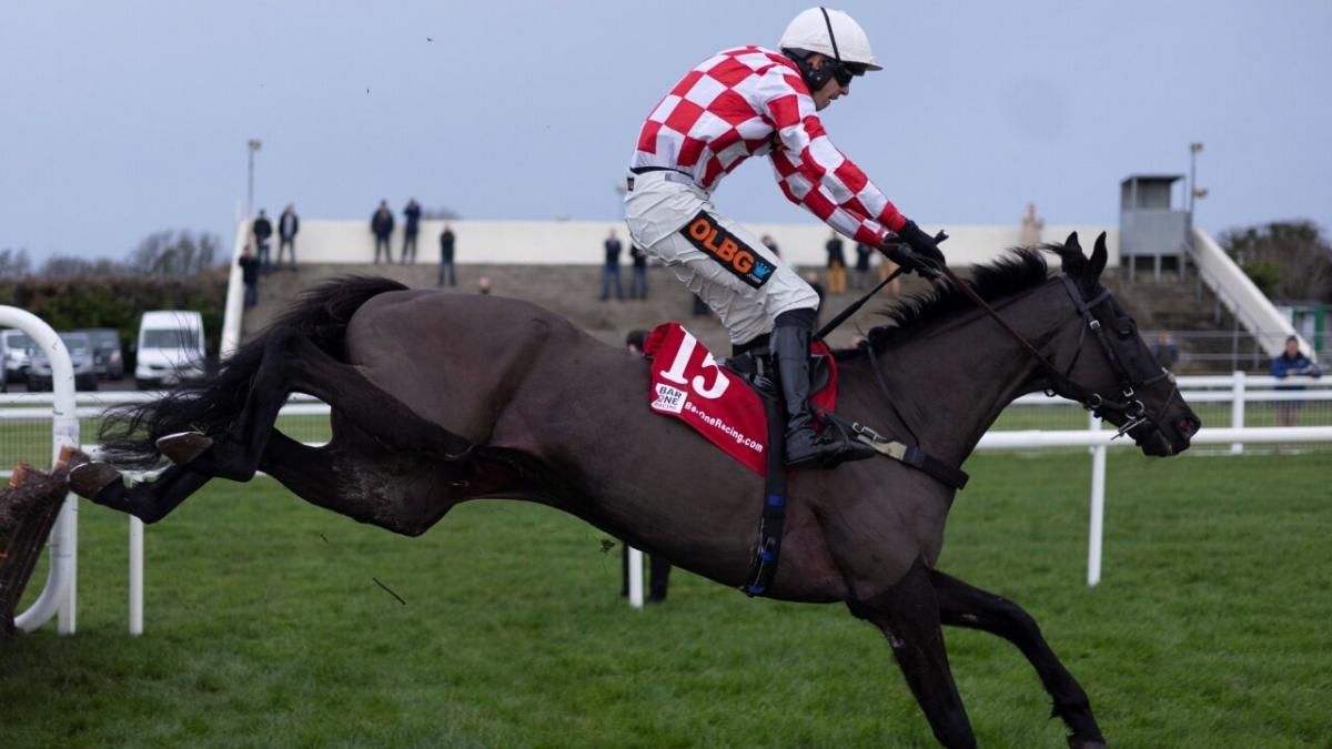 Washington racing at Fairyhouse